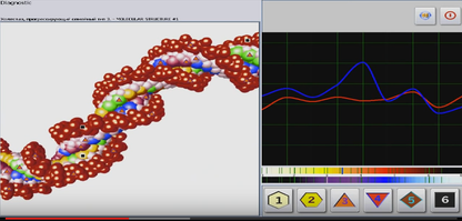 NLS Matrix Decoder Online Session