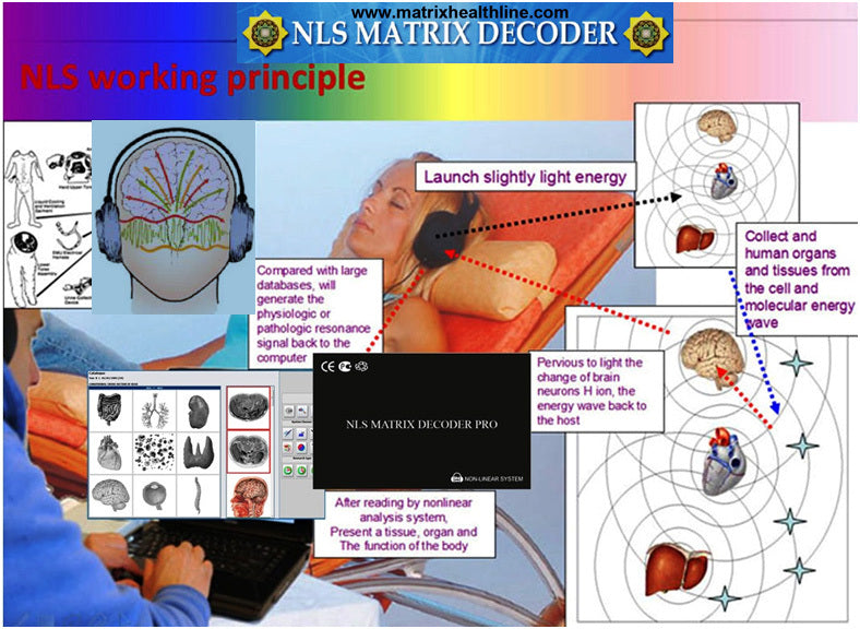 NLS Matrix Decoder In Person Session – Matrix Health Line