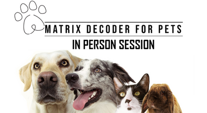 NLS Matrix Decoder for Pets In-Person Session