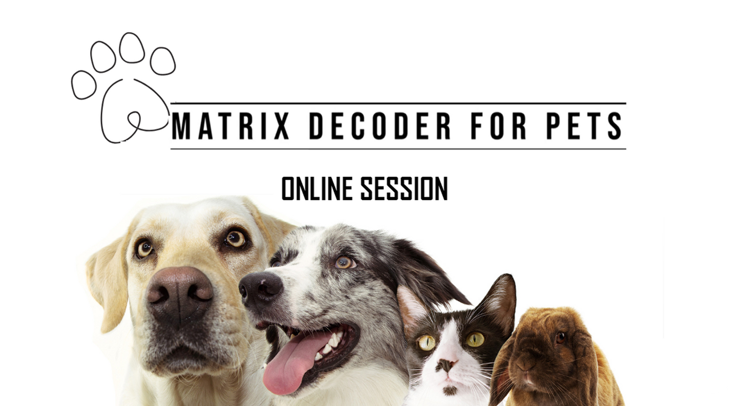 NLS Matrix Decoder for Pets Online Session