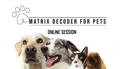 NLS Matrix Decoder for Pets Online Session